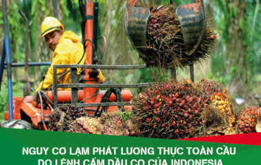 Lệnh cấm dầu cọ của Indonesia đe dọa lạm phát lương thực toàn cầu